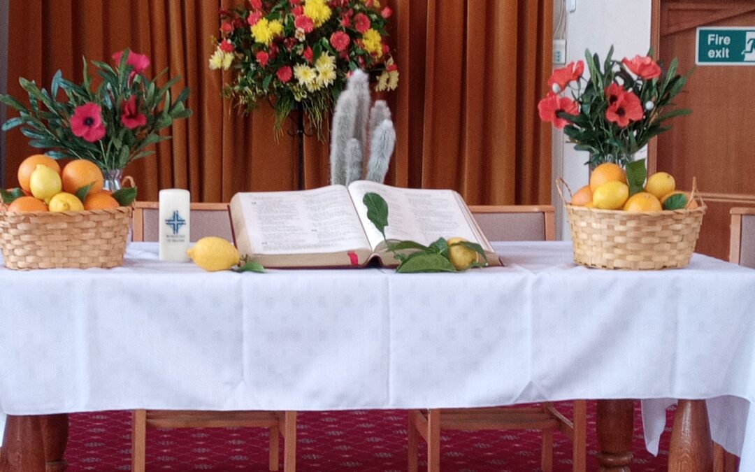 World Day of Prayer in Tavistock